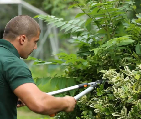gardener